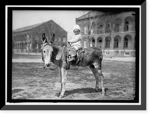 Historic Framed Print, HODGES, JOHN. INFANT. ON DONKEY AT WASHINGTON BARRACKS,  17-7/8" x 21-7/8"