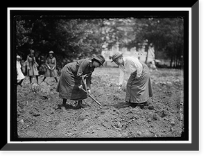 NATIONAL EMERGENCY WAR GARDENS COM. GIRL SCOUTS GARDENING AT D.A.R. - 4, Historic Reproduction
