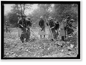 Historic Portrait - National Emergency War Gardens Com (2)