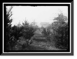 Historic Framed Print, LINCOLN MEMORIAL THROUGH FOLIAGE OF POTOMAC PARK,  17-7/8" x 21-7/8"
