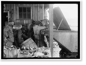 Antique Portrait - Camp Meade, Maryland. Misc. Views