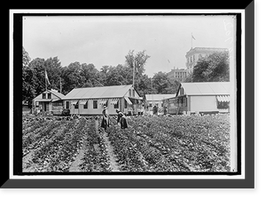 Historic Framed Print, NATIONAL EMERGENCY WAR GARDENS COM. WAR GARDENS - 5,  17-7/8" x 21-7/8"