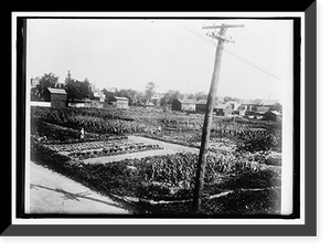 NATIONAL EMERGENCY WAR GARDENS COM. WAR GARDENS - 13, Vintage Print