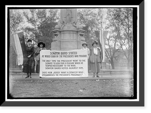 WOMAN SUFFRAGE BANNERS - 5, Historic Print