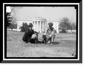 Historic Framed Print, WHITE HOUSE. FEEDING SMALL SHEEP ON WHITE HOUSE LAWN - 2,  17-7/8" x 21-7/8"