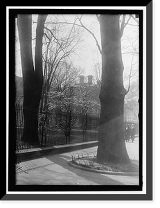 Historic Framed Print, DISTRICT OF COLUMBIA PARKS. MAGNOLIAS - 2,  17-7/8" x 21-7/8"