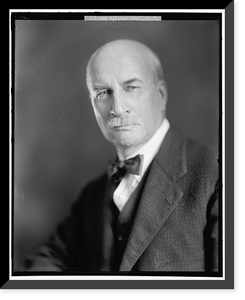 Antique Portrait - Willcox, W.F. Professor - Great Gift for History Buffs