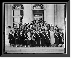 Historic Framed Print, D.A.R. - 2,  17-7/8" x 21-7/8"