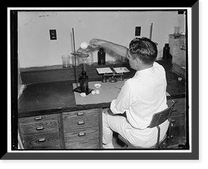 The white of the egg or the albumen of the egg is sent thru a screen separating the heavy from the thin. The more heavy the better the egg, Historic Print
