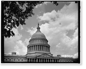 Antique Portrait - U.S. Capitol - dome - Historic Wall Art Gift