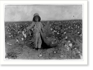 Historic Photo Print - 5-year old Harold Walker. See 4564 and 4565