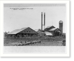 Vintage Industrial - Flagstaff Lumber M'f'g Co.'s saw mill