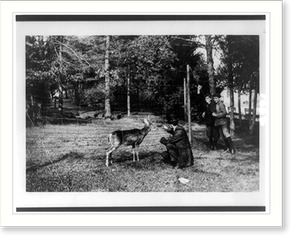 Vintage Americana Print - Washington, DC - Man feeding a deer