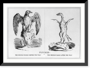 Plucked or, The Mexican eagle before the war! The Mexican eagle after the war!, Antique Print