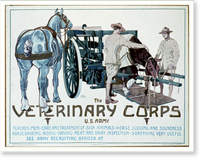 Historic Framed Print, The Veterinary Corps U.S. Army teaches men [...]. Horst Schreck.,  17-7/8" x 21-7/8"