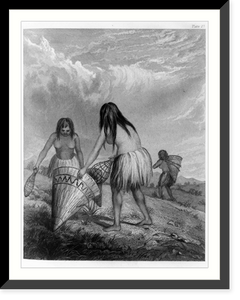 Gathering grass seed, Antique Poster