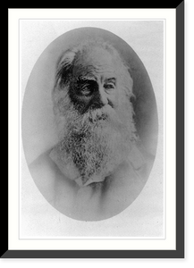 Historic Framed Print, Walt Whitman, 1819-1892,  17-7/8" x 21-7/8"