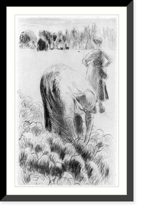 Femme cueillant les choux, Historic Print