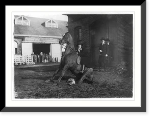 Antique Photo Print - Washington DC - Woman on seated horse at horse