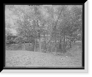 Detroit Publishing Company