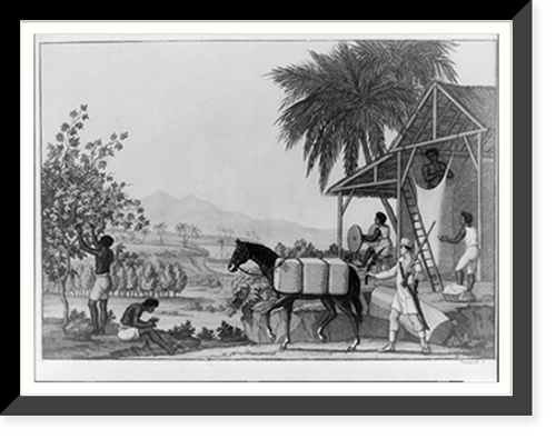 Historic Framed Print, [Sugar plantation],  17-7/8" x 21-7/8"