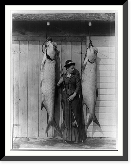 Tarpon caught by Mrs. Charles E. Allen of Glasgow, Scotland, at St. James City, Florida Classic, Historic Reproduction