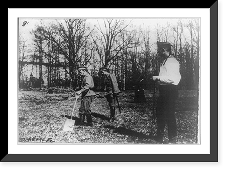 Emperor Nicholas II working in the kitchen garden at Tsarskoe Selo. Behind him is the officer of the guard, Antique Print