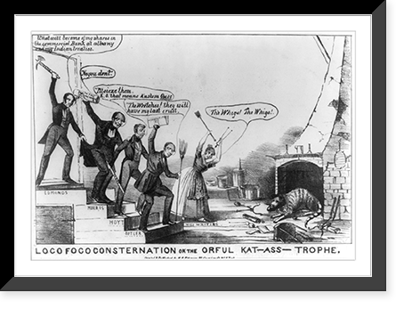 Loco Foco consternation or the orful kat-ass-trophe, Antique Wall Art