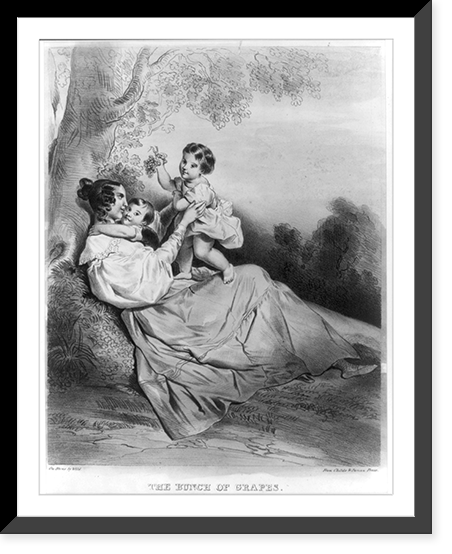 The bunch of grapes.On stone by Wild ; from Childs & Inman Press, Antique Poster