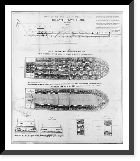 Stowage of the British slave ship Brookes under the regulated slave trade act of 1788, Antique Print