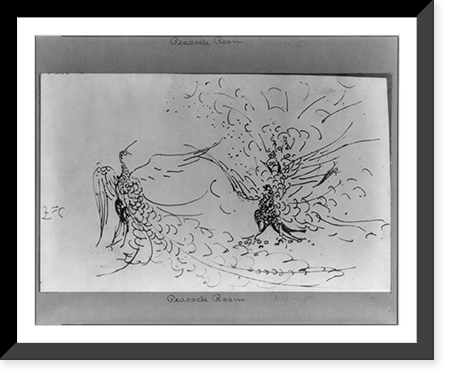 Study of peacock on wall facing Princesse du Pays de la Porcelaine over mantlepiece." The Rich Peacock and the Poor Peacock", Antique Wall Art