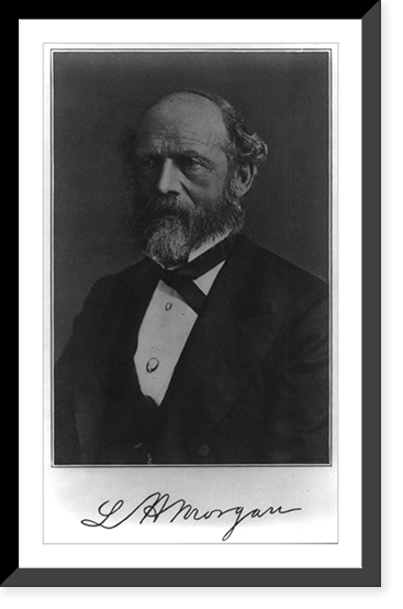 Lewis Henry Morgan, head-and-shoulders, Antique Print
