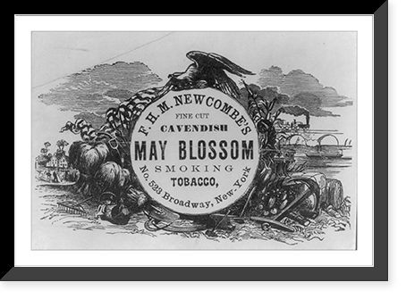 F. H. M. Newcombe's fine cut Cavendish May Blossom smoking tobacco. Classic, Antique Print
