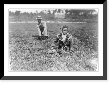 Historic Framed Print, Fanny Breto. Said 9 years old. Was picking with her father on a private bog near Bang's bog. Location: Wareham, Massachusetts.,  17-7/8" x 21-7/8"