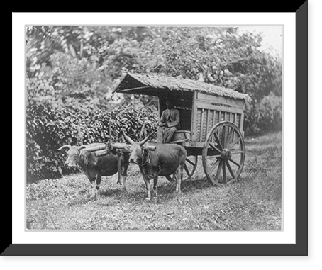 Java - method of transportation, Historic Print