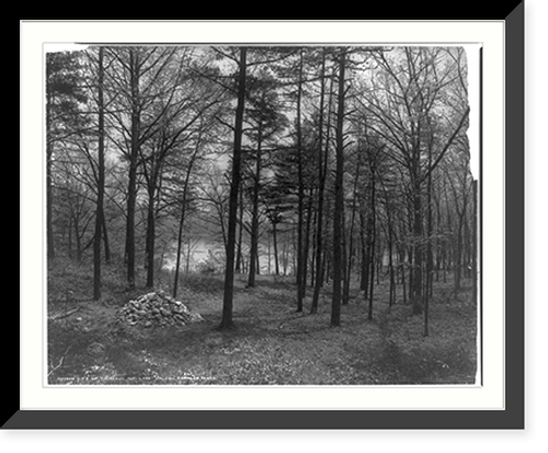 Historic Framed Print, Site of Thoreau's hut, Lake Walden, Concord, Mass.,  17-7/8" x 21-7/8"