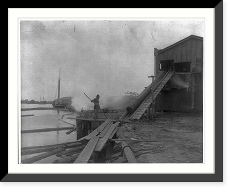African American guiding log from water onto saw mill ramp, Newport News, Va., 1900, Antique Poster