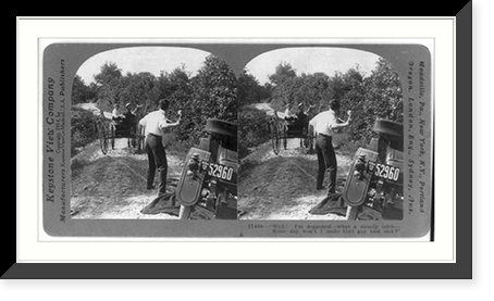 Historic Photo Print - Picture story in 4 stereoscopic frames