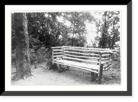 Yasnaya Polyana, Russia. 1960: Tolstoi's bench in little fir trees"", Antique Print