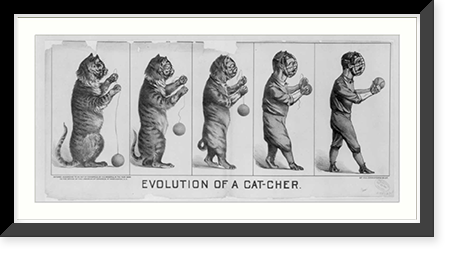 Evolution of a cat-cher.lith. H.S. Crocker & Co., S.F. Classic, Historic Reproduction