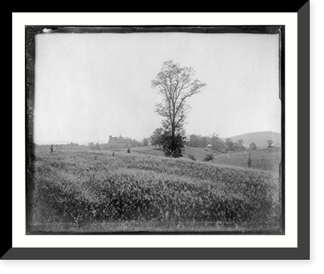 Castle Hill Hotel - far view, Lexington, Va, Historic Print