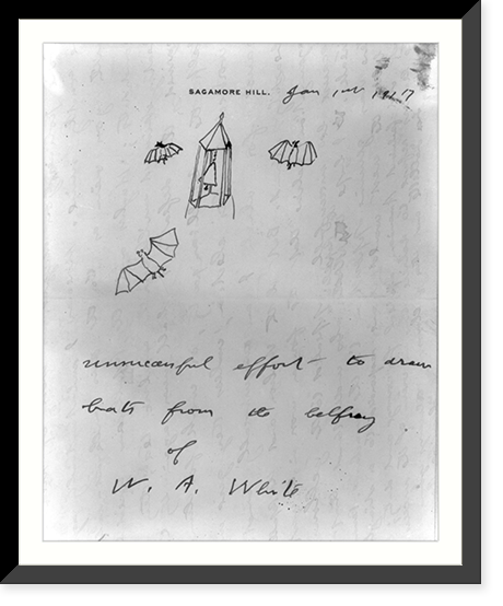 Unsuccessful effort to draw bats from the belfry of W.A. White"" Classic, Vintage Print