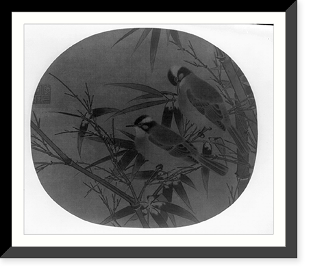 Historic Framed Print, Chinese bulbuls (birds),  17-7/8" x 21-7/8"