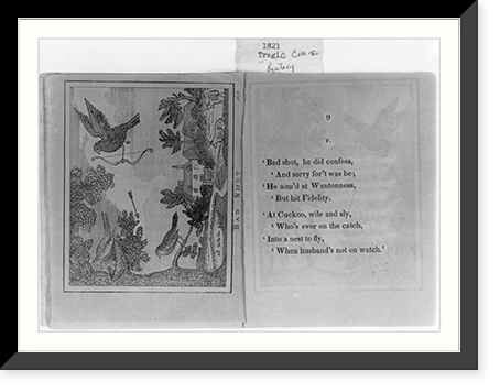 Illustrated pages from various early editions of the story of the death and funeral of Cock Robin", reproduced by the LCQJ, April 1973" - 19, Antique Poster