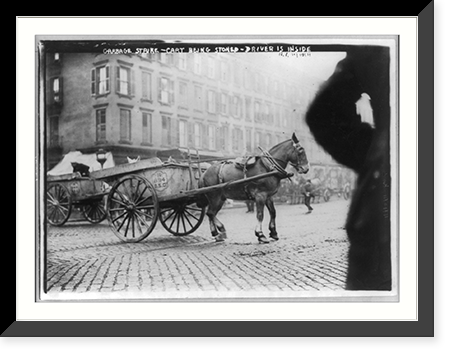 N.Y.C. Garbage collector's strike, 1911: horse-drawn cart being stoned; driver is hiding inside, Vintage Print