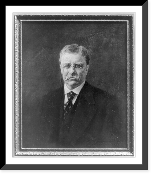 Historic Framed Print, [Theodore Roosevelt, head and shoulders portrait, facing slightly left],  17-7/8" x 21-7/8"