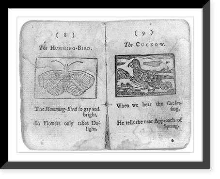 Cock Robin's Death and Funeral (Boston, 1780): copy negatives of all ten pages: pp. 8 & 9, Vintage Wall Art