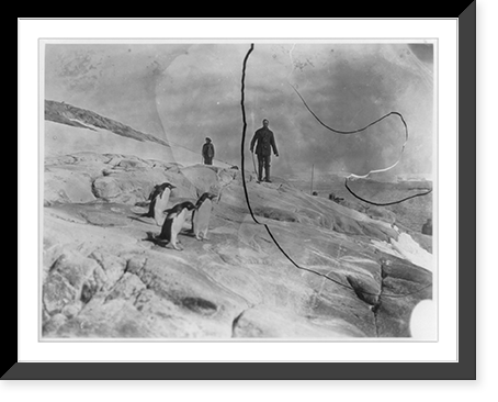2 men and 4 penguins on Antarctic landscape; Belgian Expedition, 1897-1899 Classic, Antique Poster