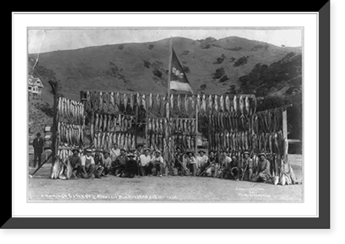 Historic Framed Print, A morning's catch of yellowtail at Catalina Island, Cal.,  17-7/8" x 21-7/8"