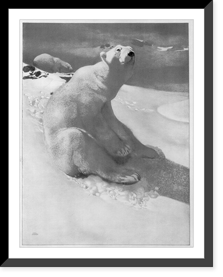 A polar bear seated on snow and another polar bear walking in background.Carl Ederer, Vintage Wall Art